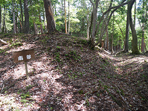 田上山城　近江の城カード