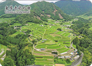 東岸寺扇の峰