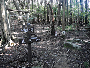 恵利原の水穴（天の岩戸）　名水百選カード