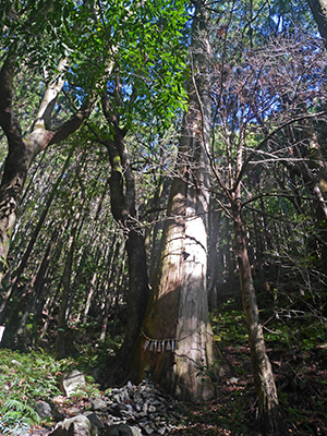 恵利原の水穴（天の岩戸）　名水百選カード