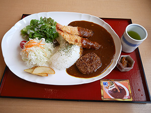 黒部ダムカレー　レストランあづみ野　Ver.3