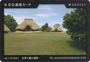 古津八幡山遺跡　新潟県新潟市