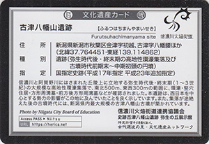 古津八幡山遺跡　新潟県新潟市