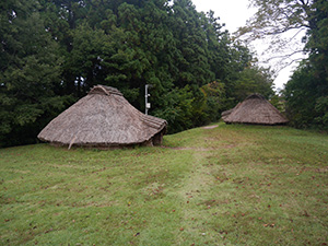 古津八幡山遺跡　新潟県新潟市