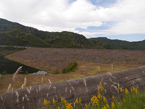 大谷ダム　Ver.1.2