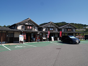 鉄塔カード　新北陸幹線No.443