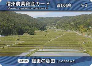 信更の棚田　長野地域No.3