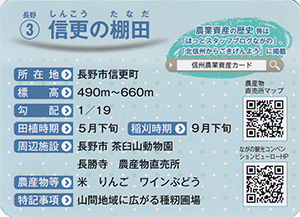 信更の棚田　長野地域No.3