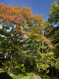 武家屋敷寺島蔵人邸　石川県金沢市