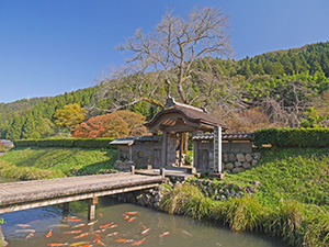 一乗谷城　福井県福井市