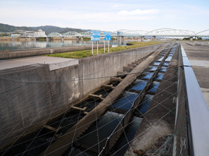 紀の川大堰　２０周年記念カード