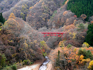 高井橋　橋カードNo.12