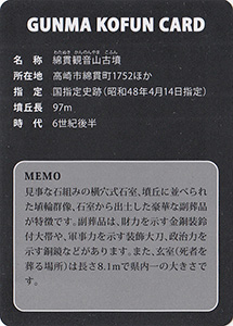 綿貫観音山古墳