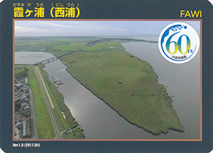 霞ヶ浦（西浦）　Ver.1.0　水資源機構６０周年記念シール付