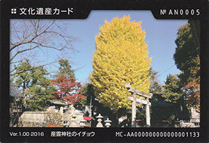 産霊神社のイチョウ 岐阜県笠松町