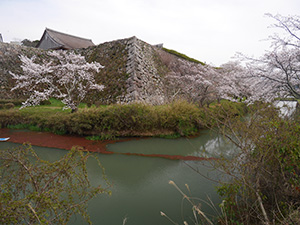 篠山城　日本１００名城　No.57