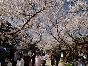 岡山県新庄村