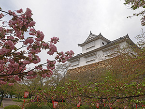 津山城 日本100名城 No.67