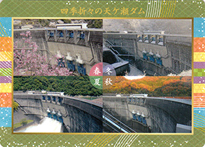 天ヶ瀬ダム　６０周年記念カード