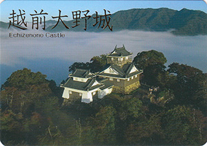 越前大野城　続日本１００名城　No.138
