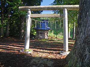 松之山街道　新潟県十日町市