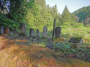松之山街道　新潟県十日町市