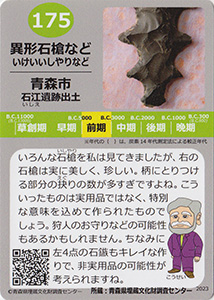 異形石槍など　あおもり縄文カード１７５