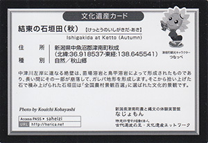結東の石垣田(秋) 新潟県津南町