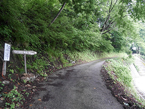 結東の石垣田(春) 新潟県津南町