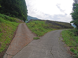 結東の石垣田(春) 新潟県津南町