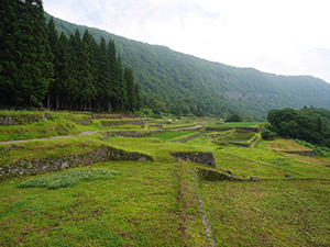 結東の石垣田(春) 新潟県津南町