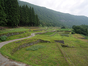 結東の石垣田(春) 新潟県津南町