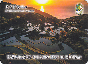 岩首昇竜棚田
