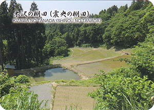 木沢の棚田（震央の棚田）