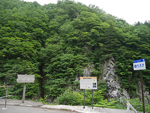 前倉橋上流の紅葉 新潟県津南町