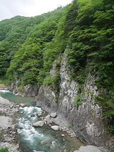 前倉橋上流の紅葉 新潟県津南町