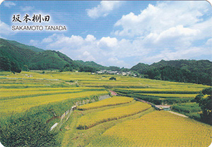 坂本棚田（棚田百選）