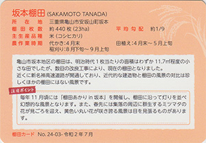 坂本棚田（棚田百選）