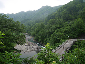 猿飛橋 新潟県津南町