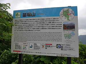 中津川渓谷の雪景 新潟県津南町