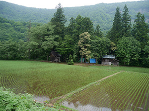清水川原 新潟県津南町