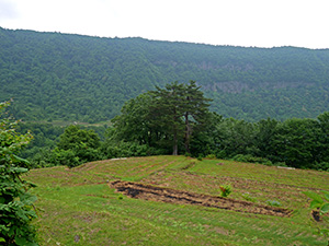 清水川原 新潟県津南町