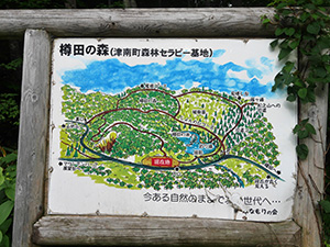 樽田のブナ林 新潟県津南町