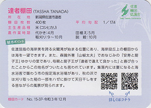 達者棚田