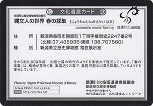 縄文人の世界 春の採取 新潟県長岡市