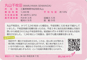 丸山千枚田（棚田百選）