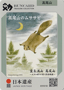 高尾山のムササビ