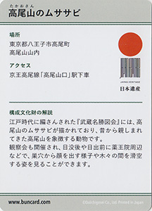 高尾山のムササビ