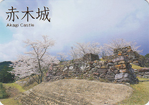 赤城城 続日本100名城 No.155