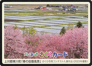 東川町「春の田園風景」　北海道さくらカード